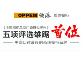 中国橱柜口碑报告权威发布！ 尊龙凯时 - 人生就是搏!独揽5项评选第一